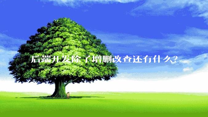 后端开发除了增删改查还有什么？