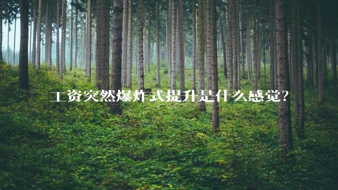 工资突然爆炸式提升是什么感觉？