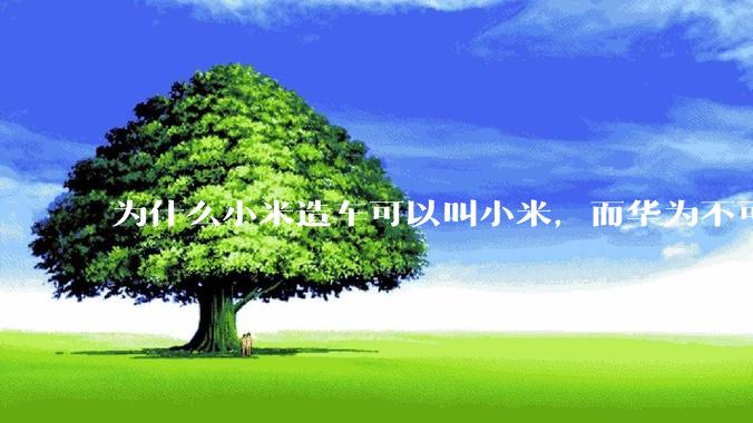 为什么小米造车可以叫小米，而华为不可以用华为品牌造车？
